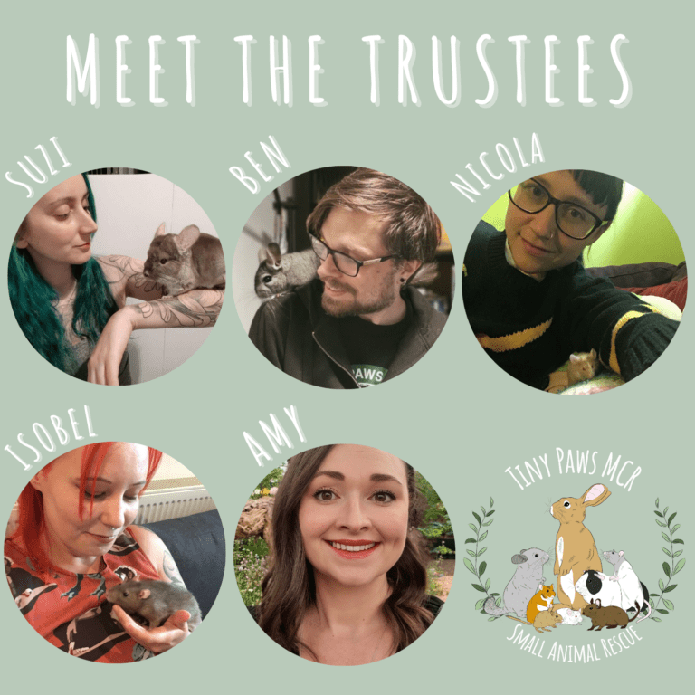 Meet the Tiny Paws Trustees